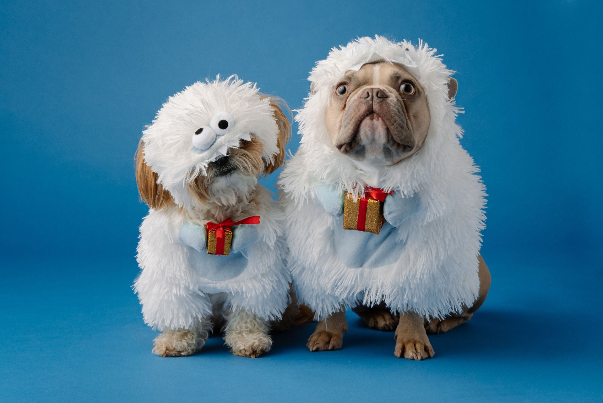 White Christmas Monster Costume