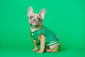 Green Vest