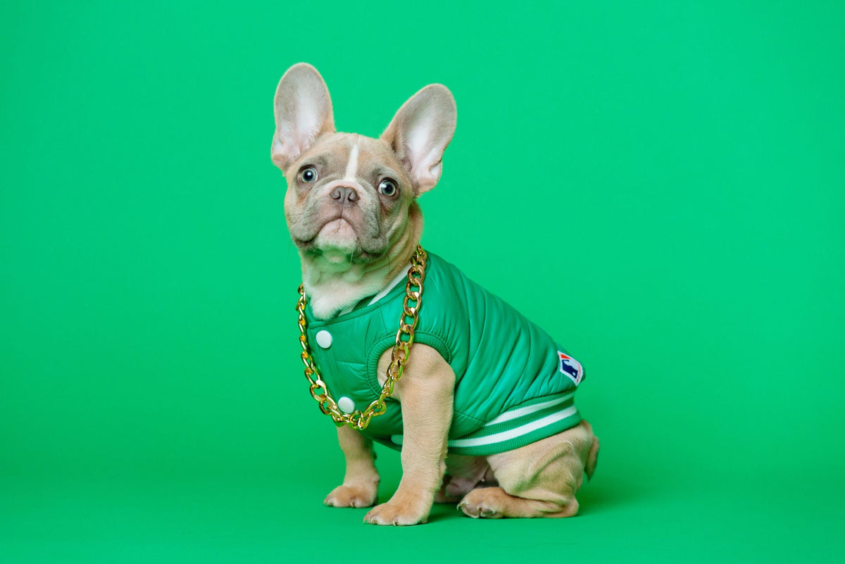 Green Vest