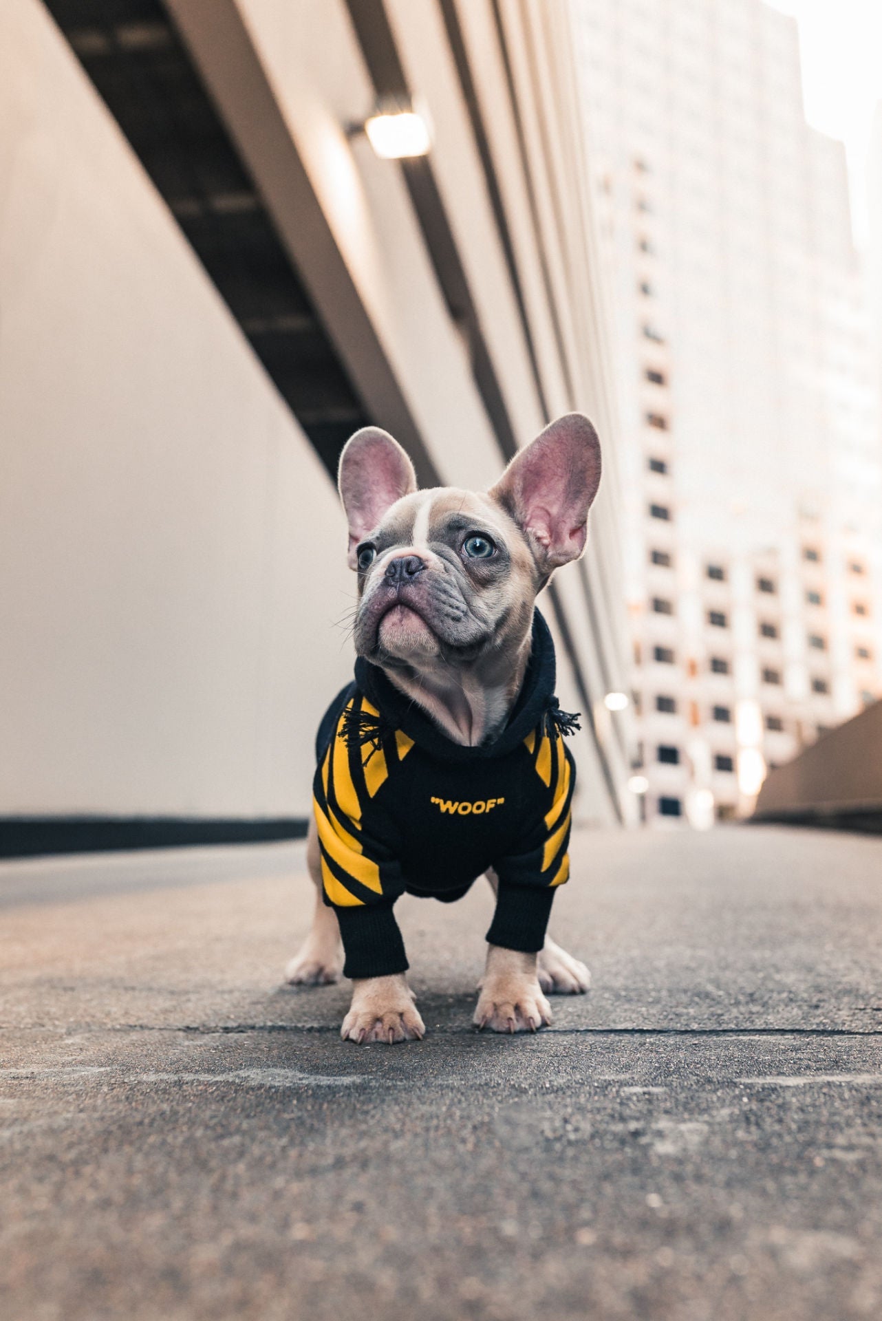 "woof" Shirt