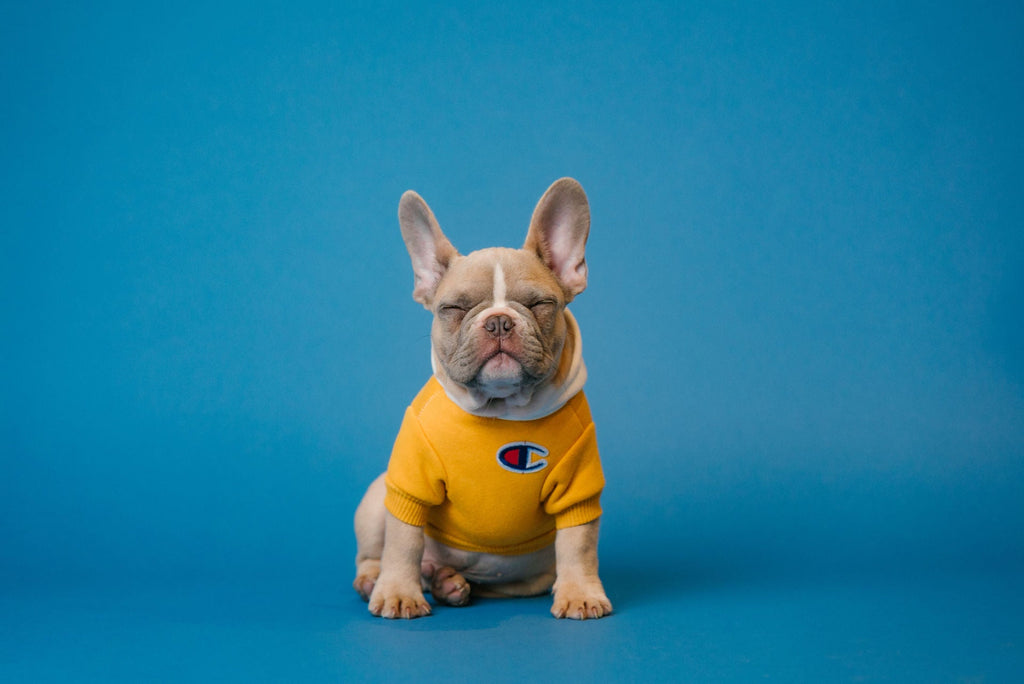 Yellow Champion Hoodie