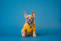 Yellow Champion Hoodie