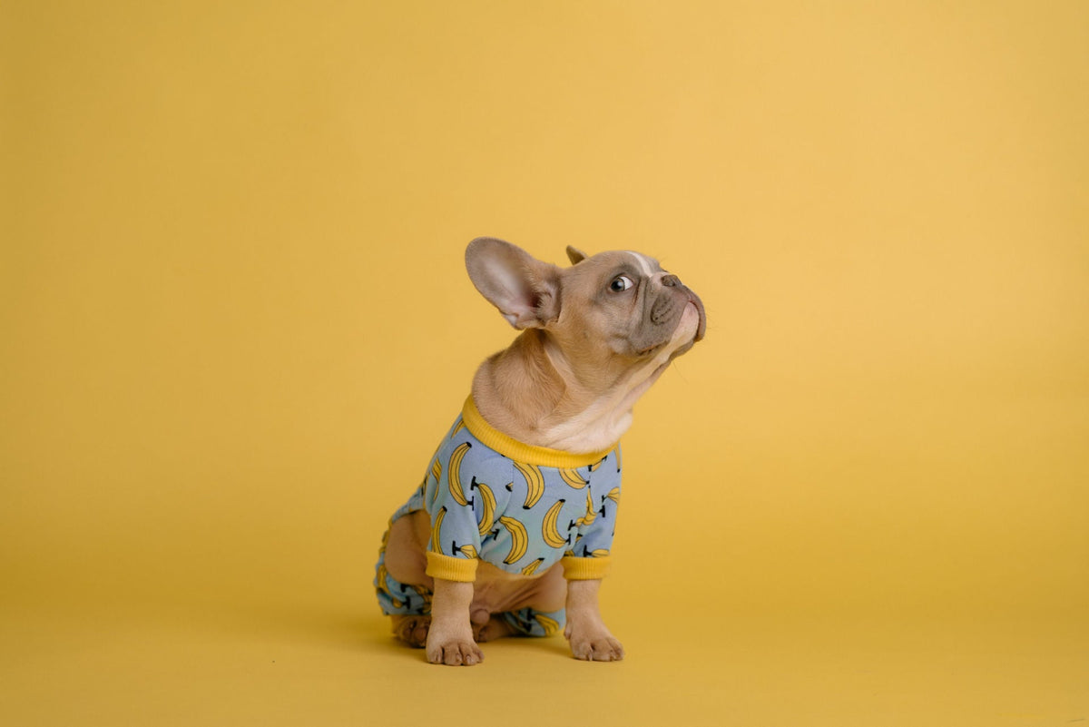 Blue Banana Shirt