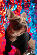Black Shirt for really cute dogs and cats - also fits other animals or even collectible dolls or small children really this can be for anything you can even hang it on your wall.