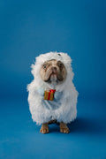 White Christmas Monster Costume