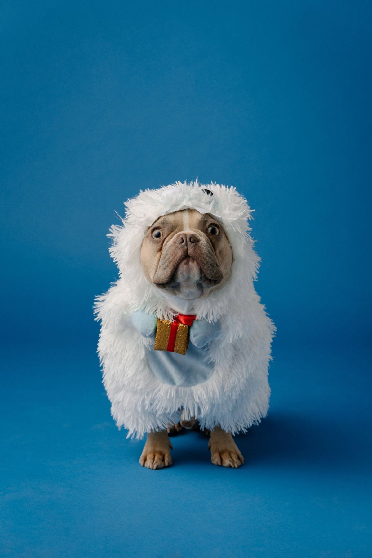 White Christmas Monster Costume