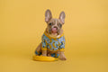 Blue Banana Shirt