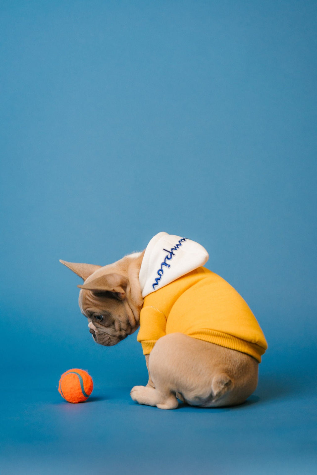 Yellow Champion Hoodie