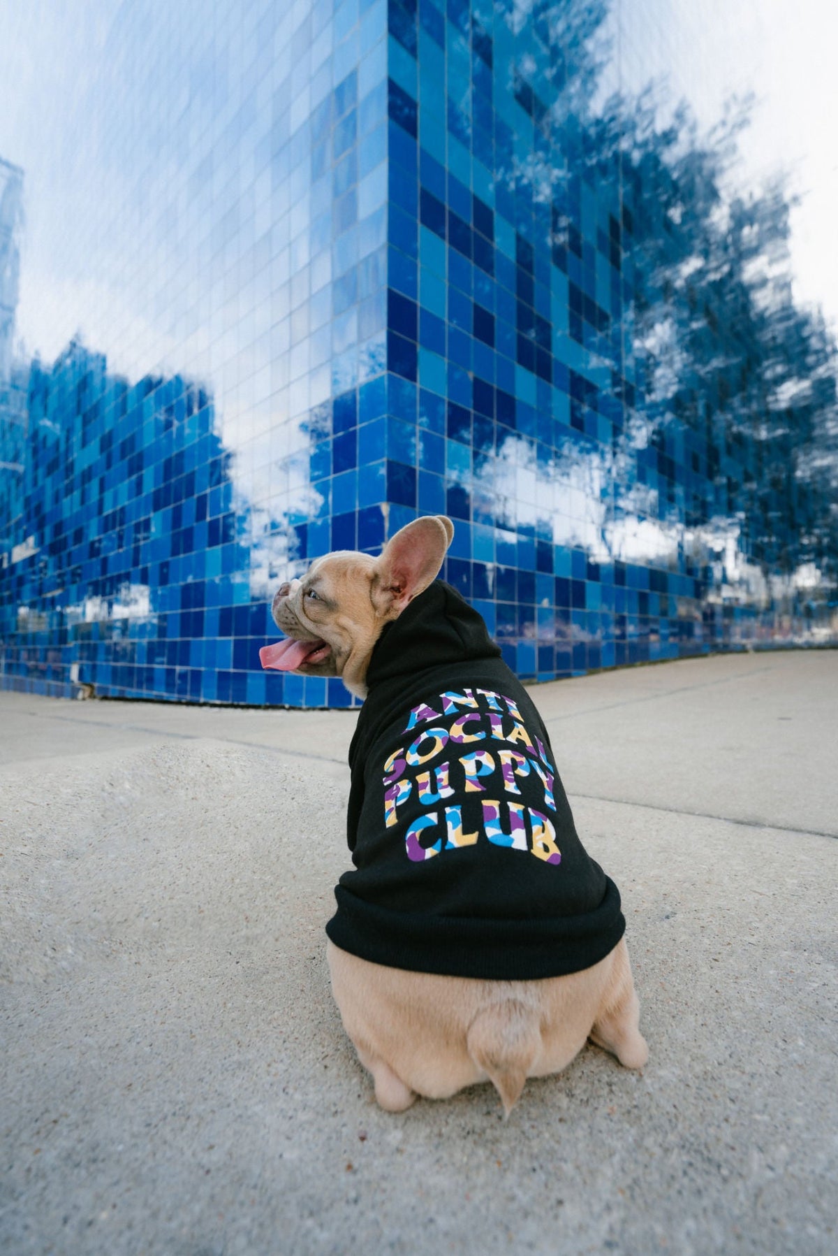 Black "Anti Social Puppy" Shirt