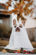 Ghost Costume