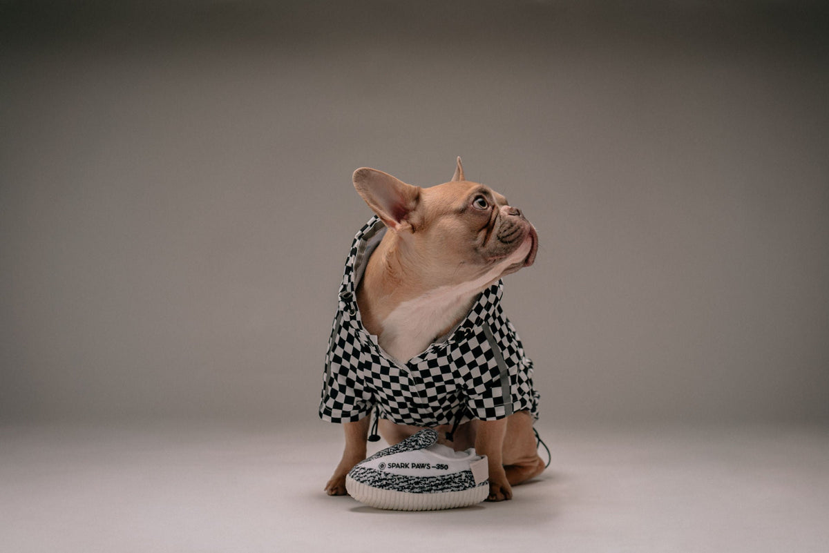 Black and White Checkered Shirt