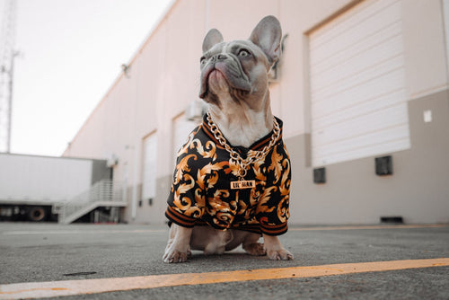 Black and Orange Shirt