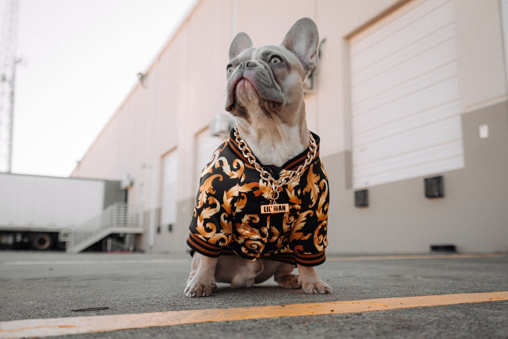 Black and Orange Shirt