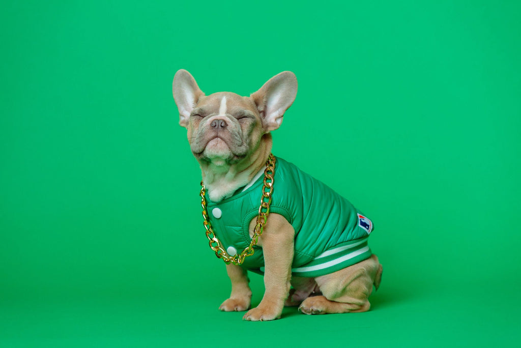 Green Vest