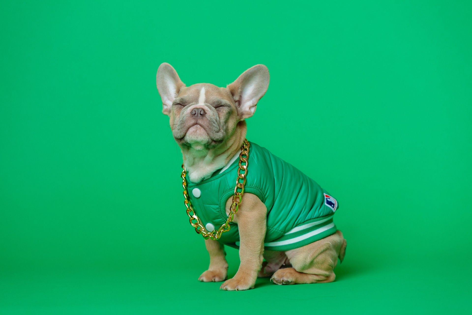 Green Vest