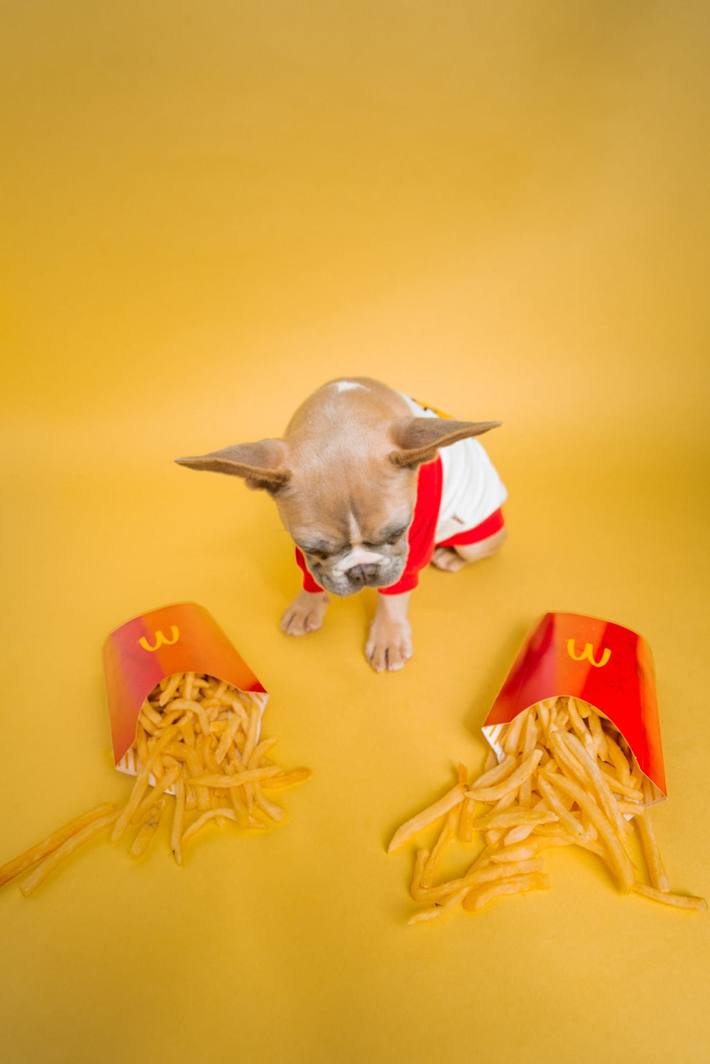 Red and White "French Fry" Shirt