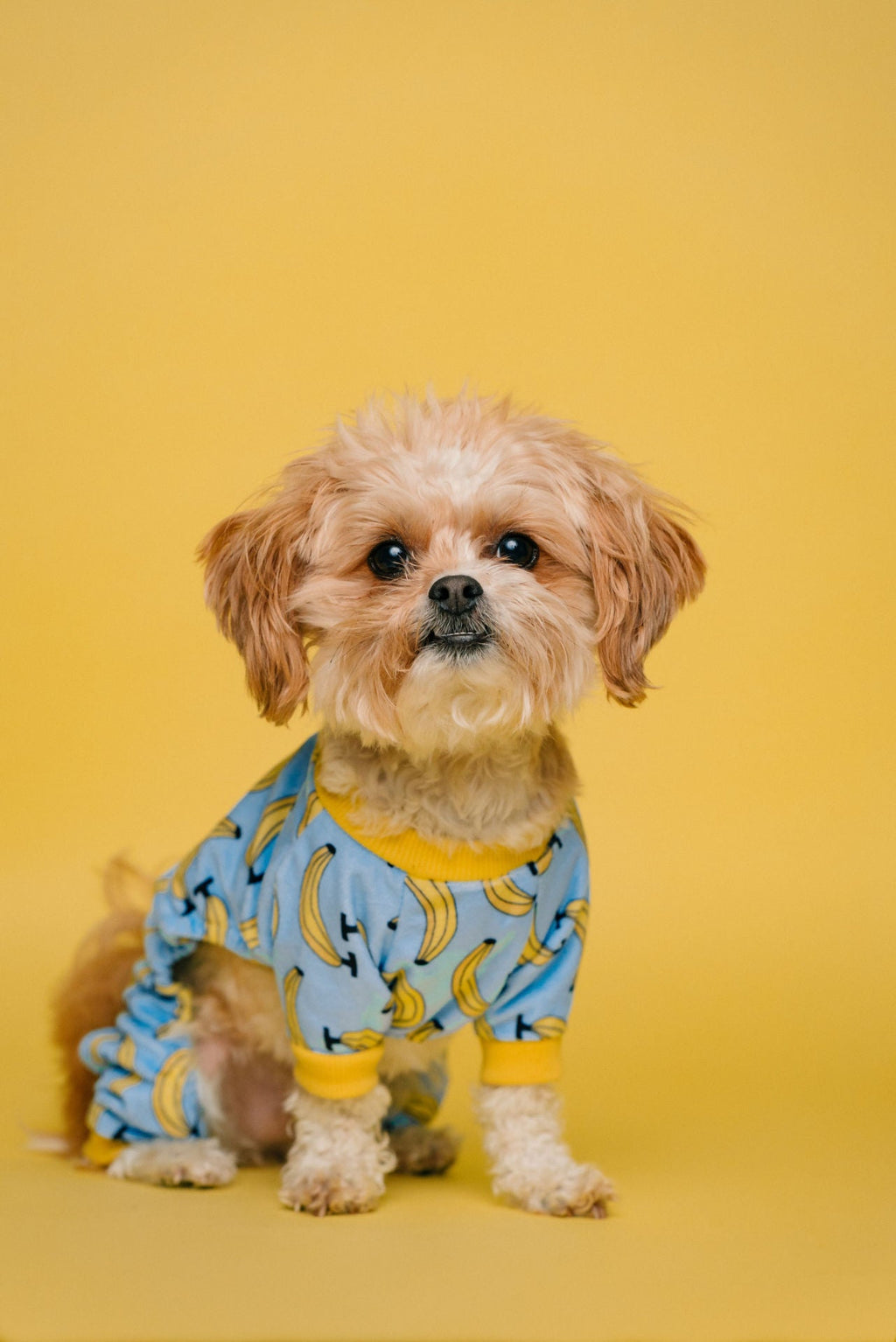 Blue Banana Shirt