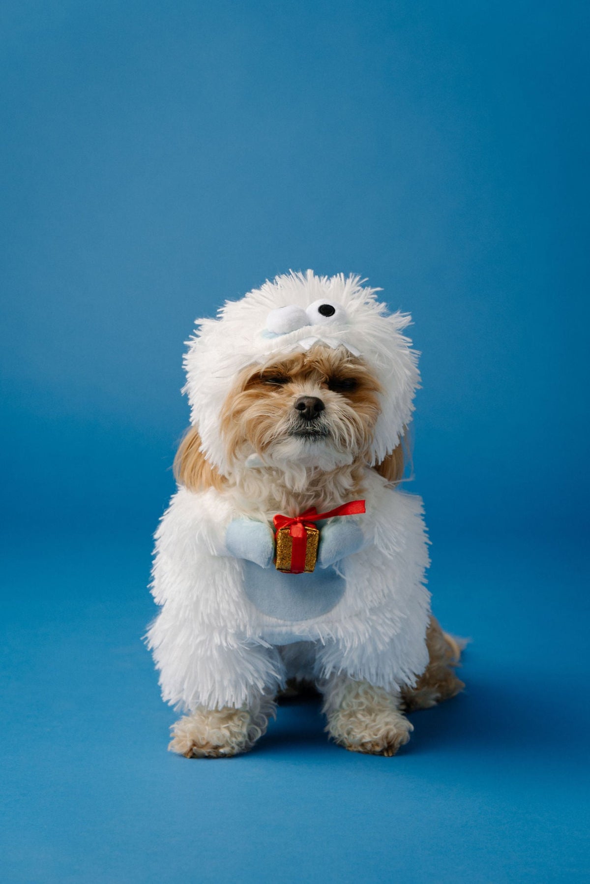 White Christmas Monster Costume
