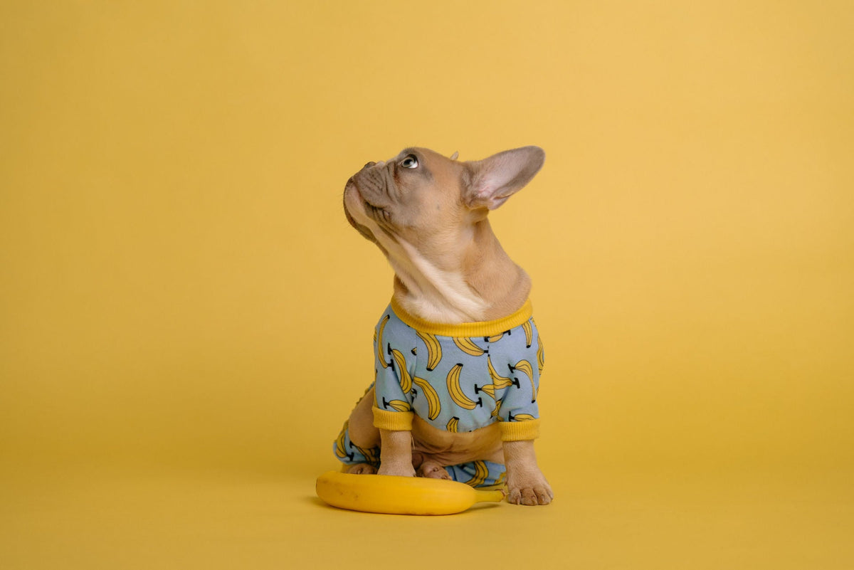 Blue Banana Shirt