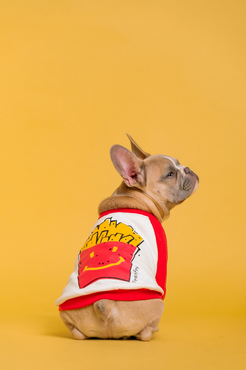Red and White "French Fry" Shirt
