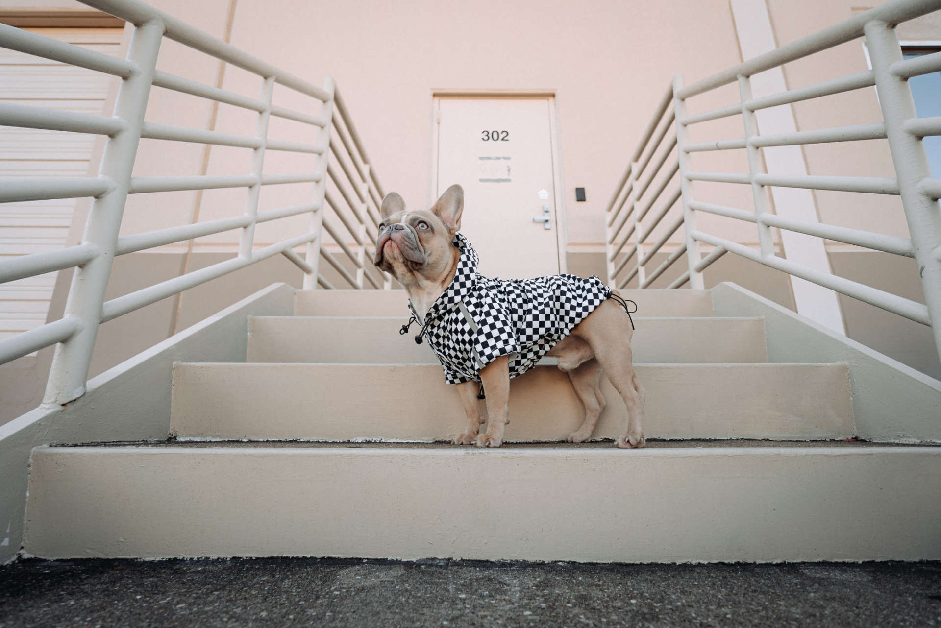 Black and White Checkered Shirt