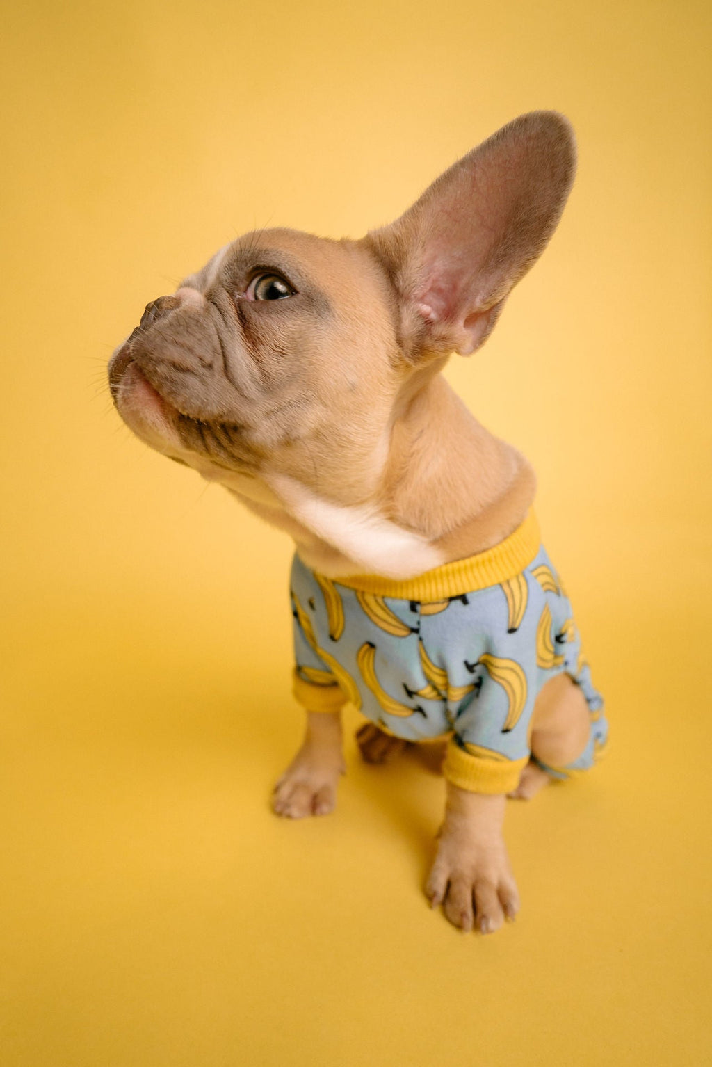 Blue Banana Shirt