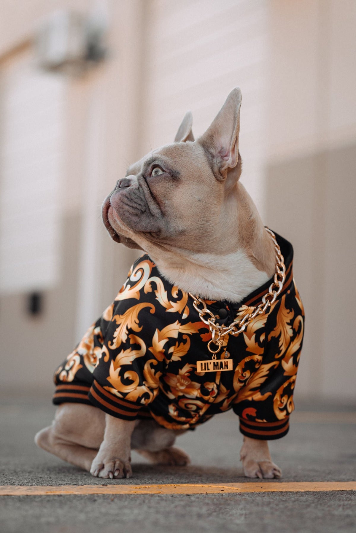 Black and Orange Shirt