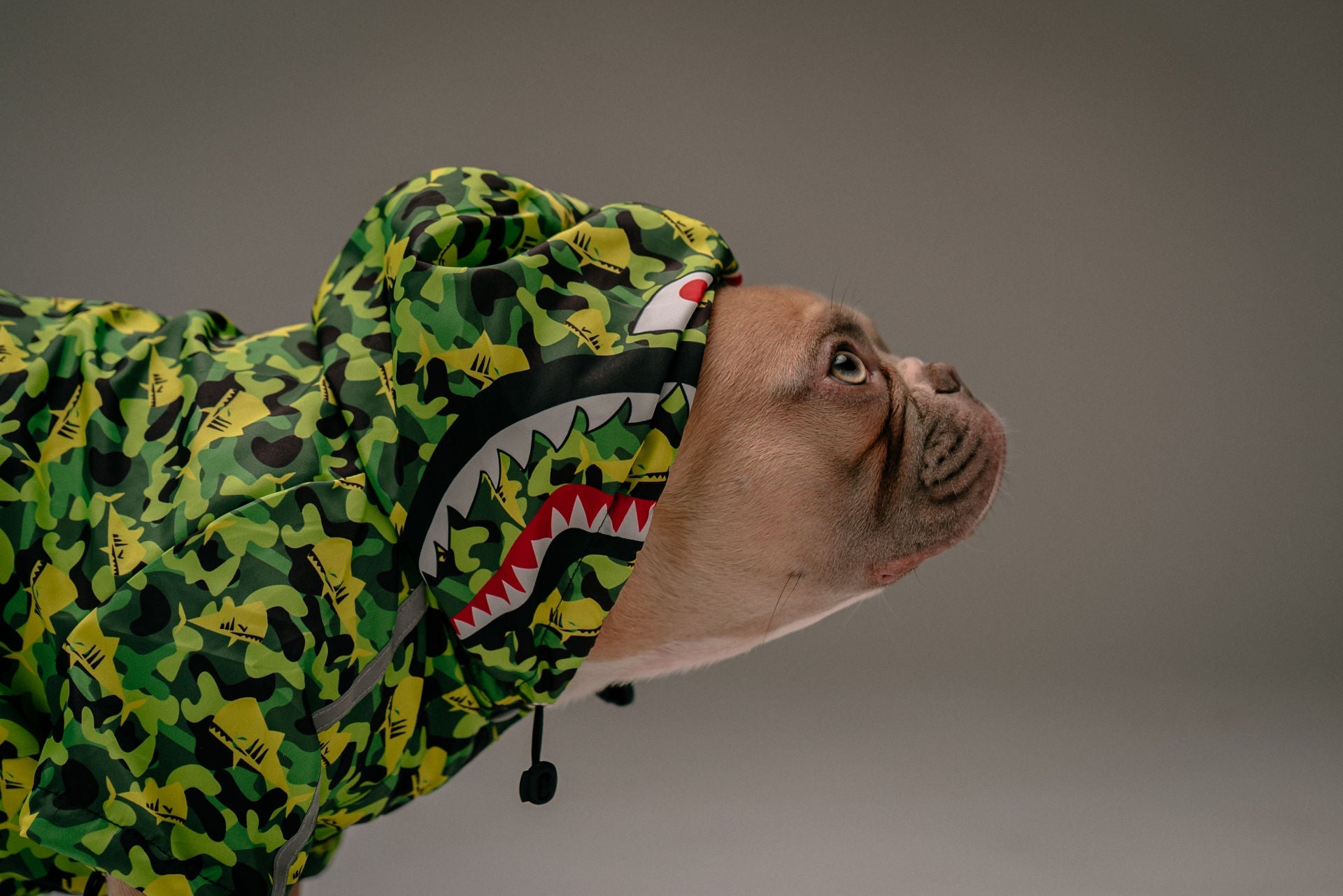 Shark Hoodie