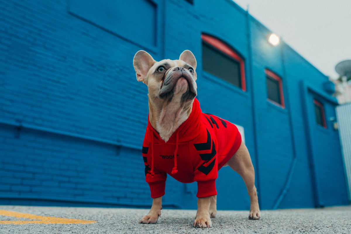 "woof" Shirt