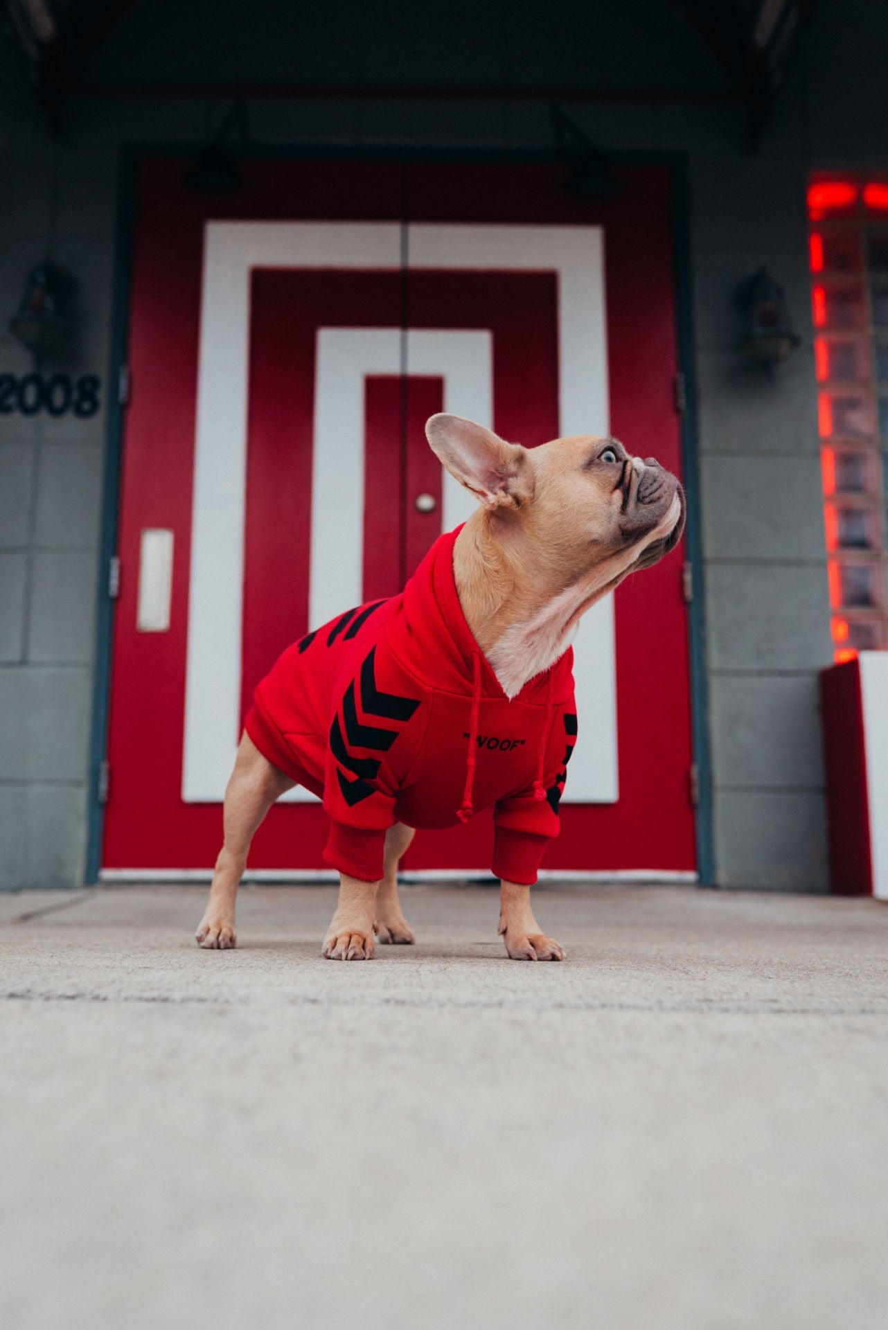 "woof" Shirt
