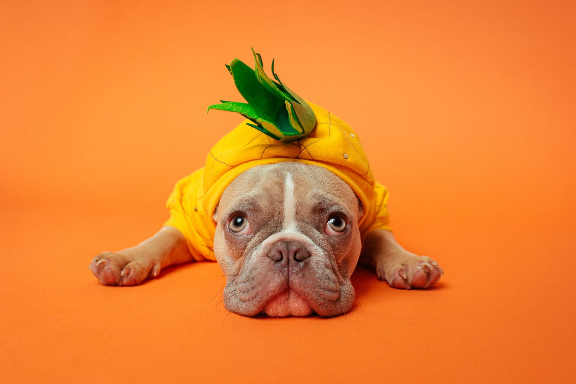 Pineapple Costume