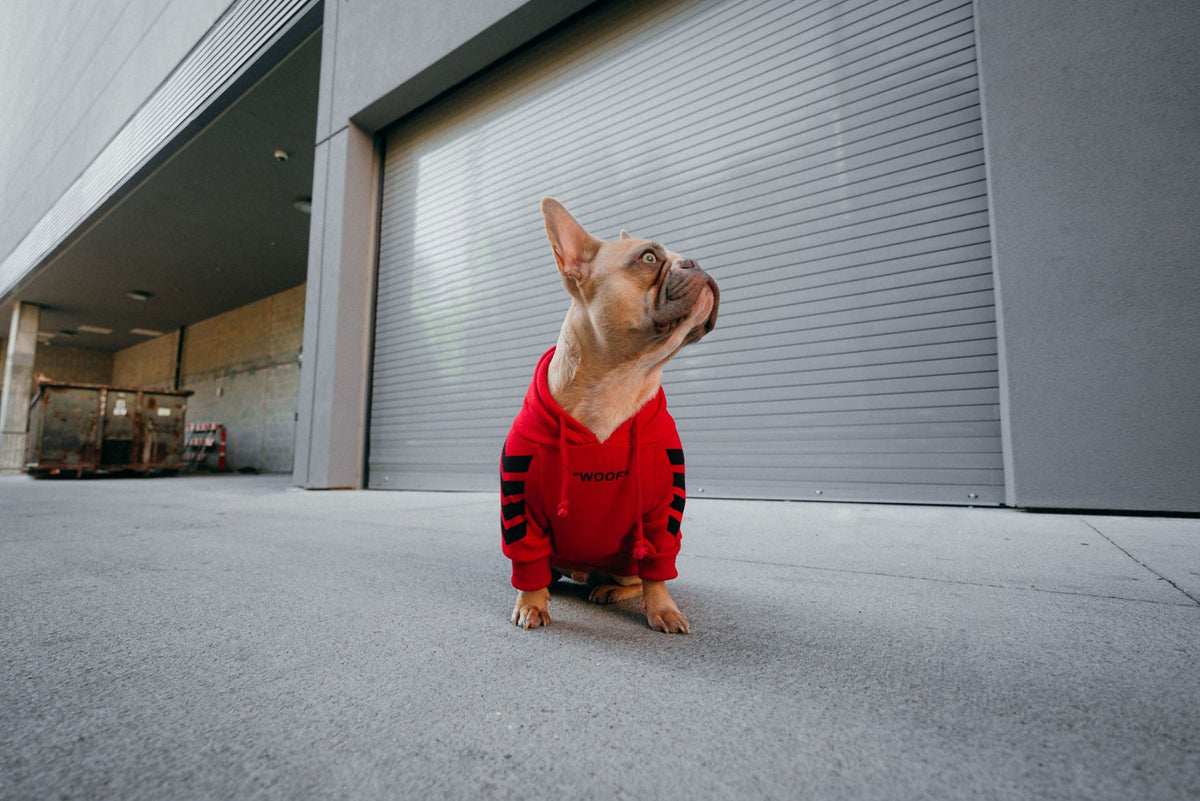 "woof" Shirt