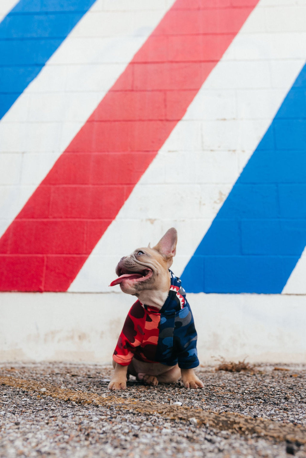 Red and Blue Camo Hoodie