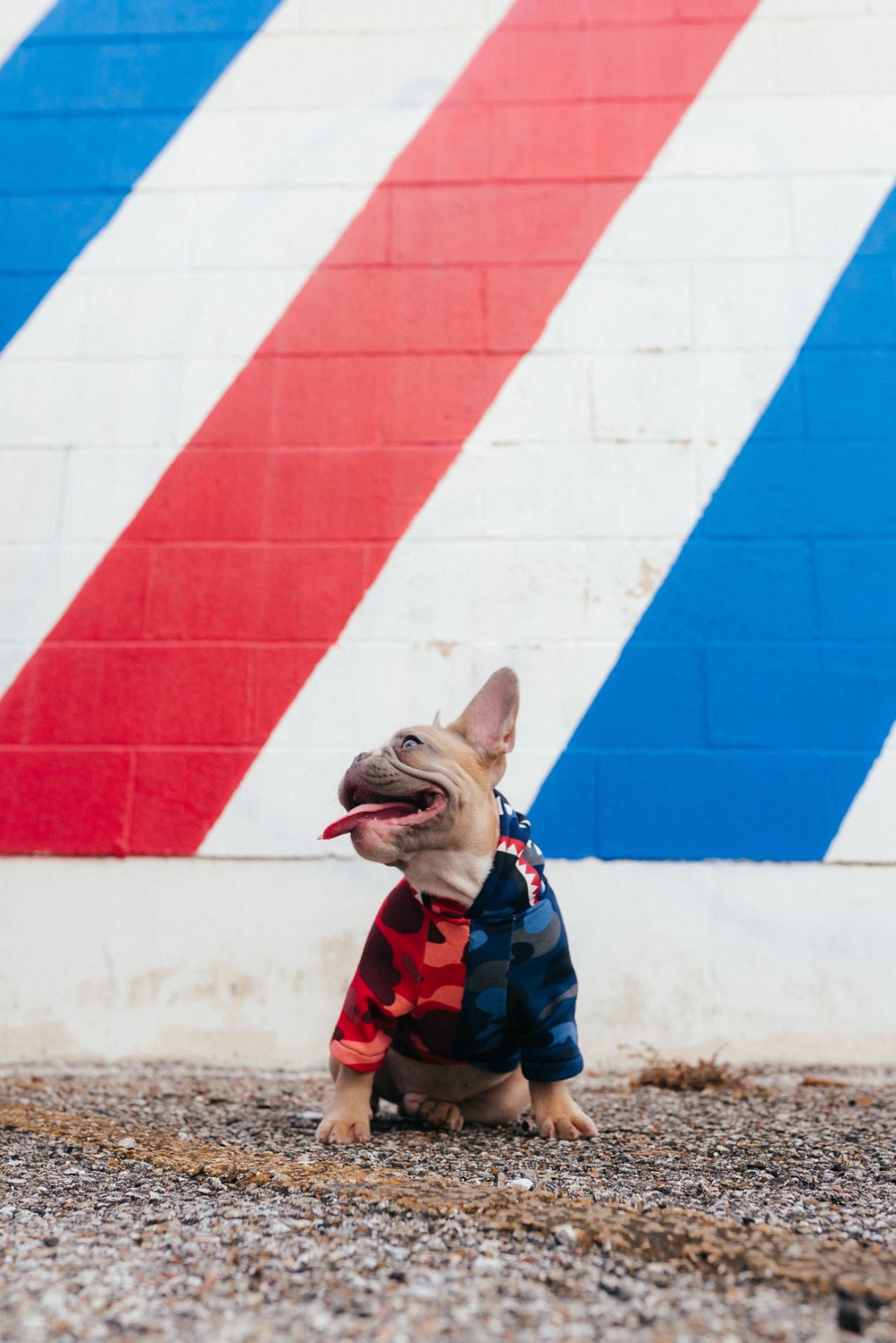 Red and Blue Camo Hoodie