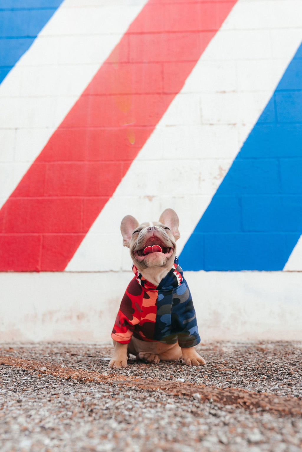 Red and Blue Camo Hoodie