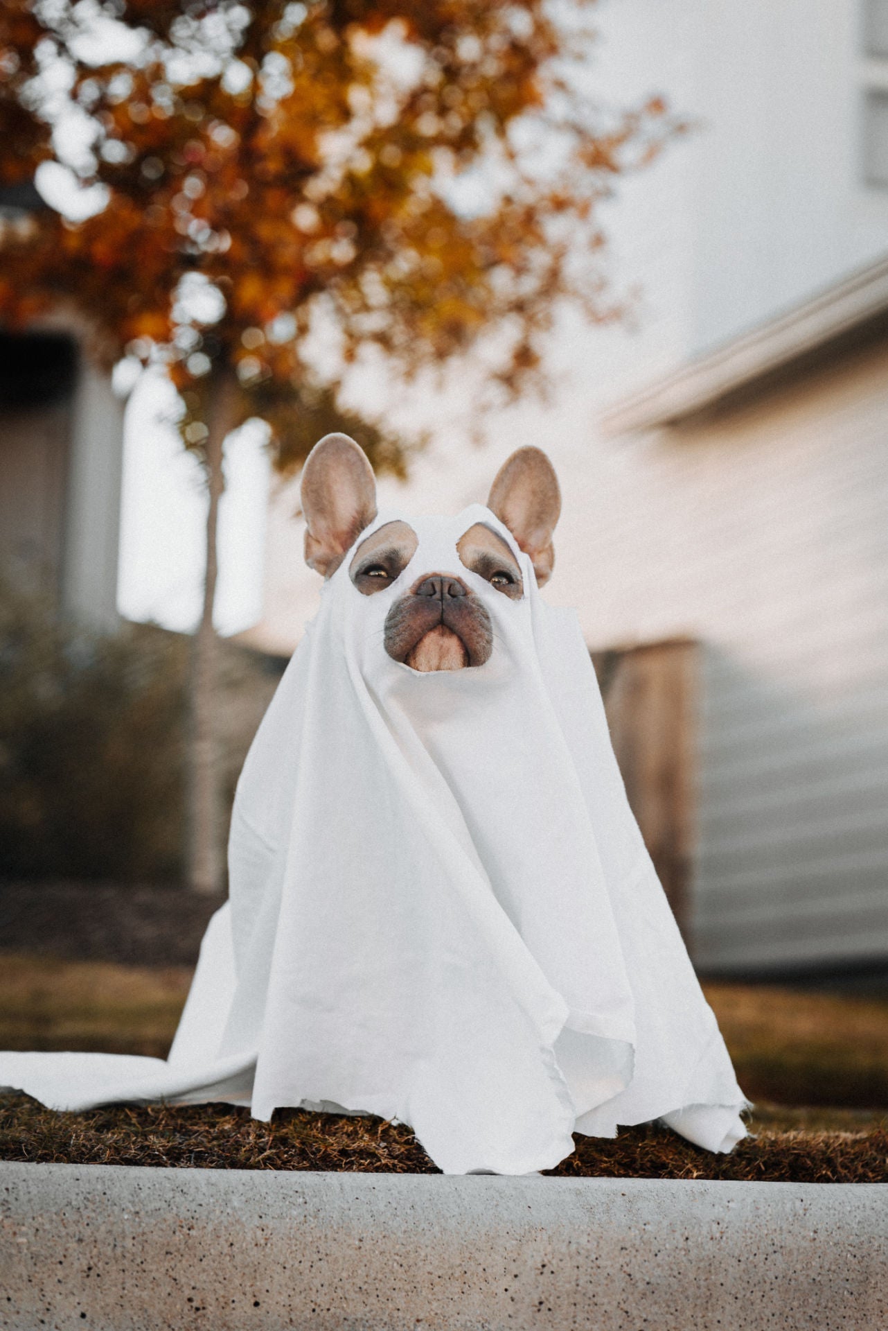 Ghost Costume
