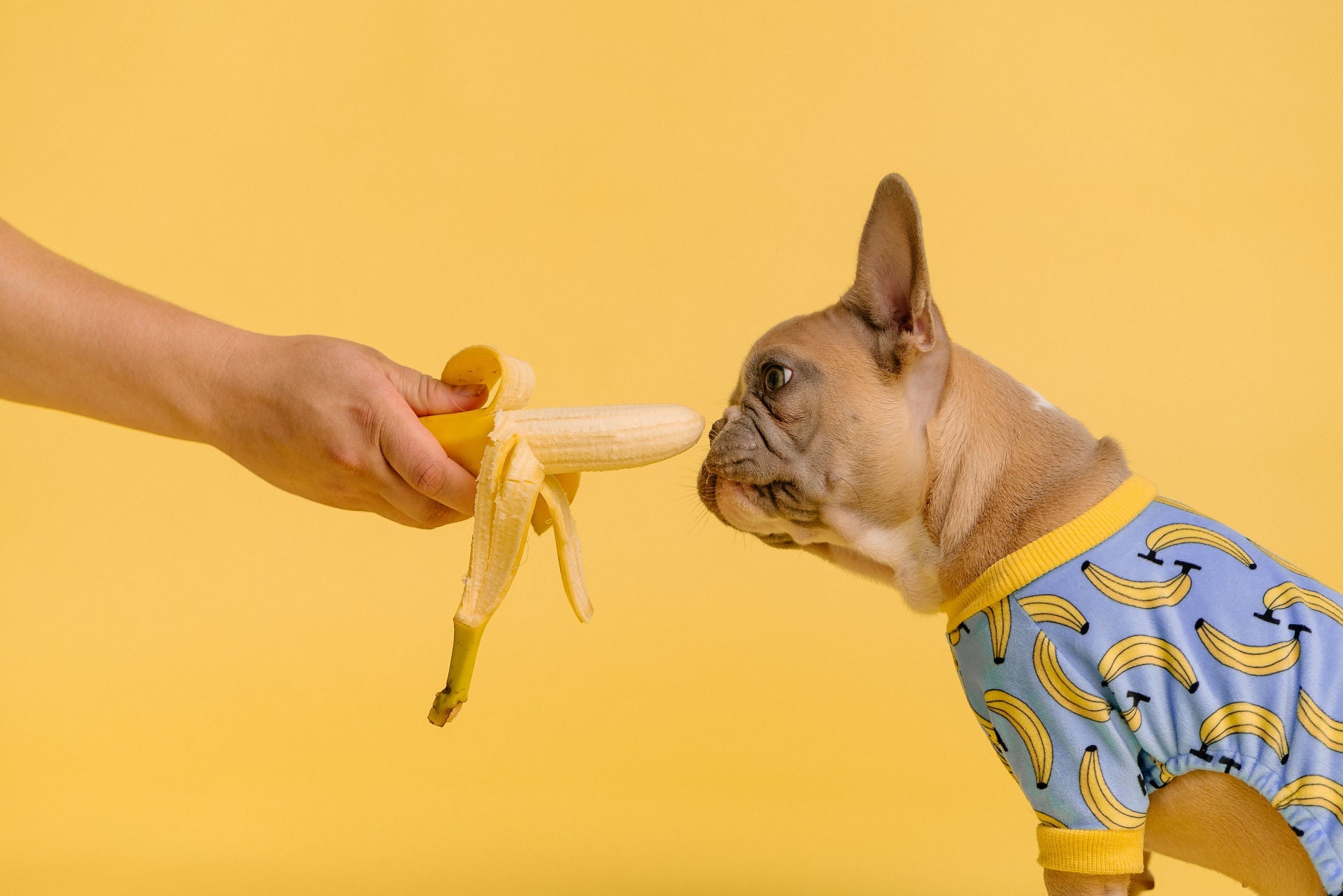 Blue Banana Shirt