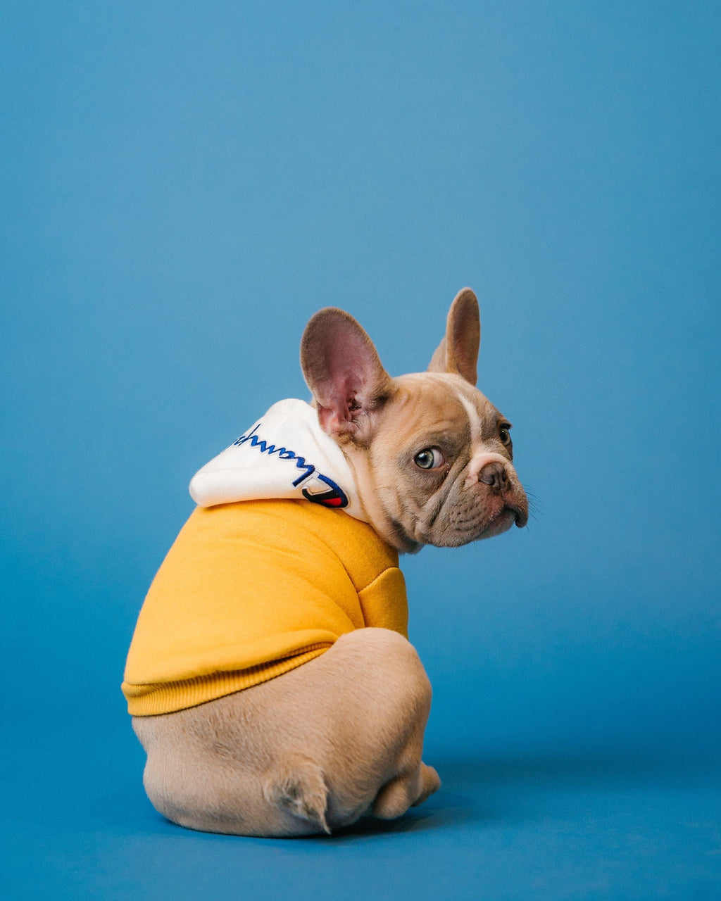 Yellow Champion Hoodie