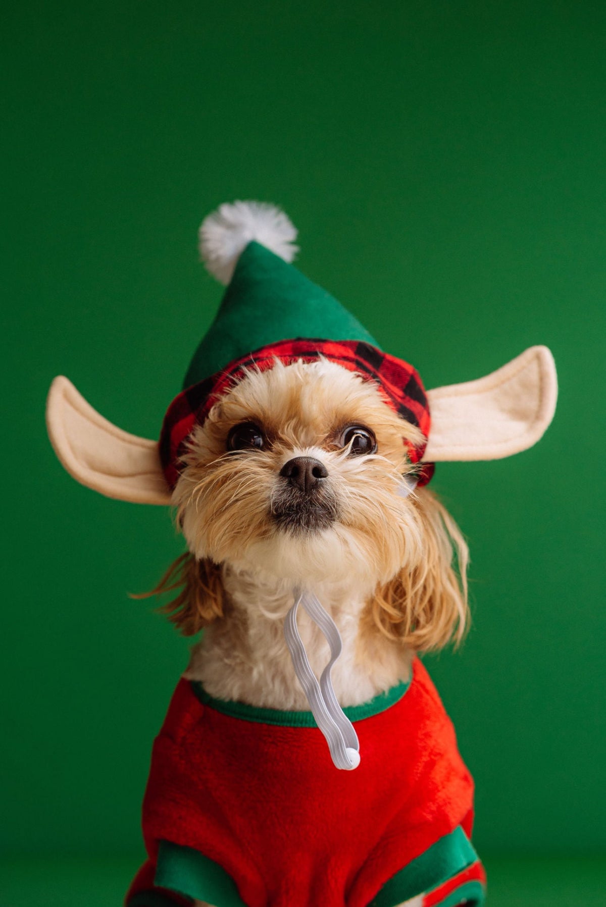 Elf Hat