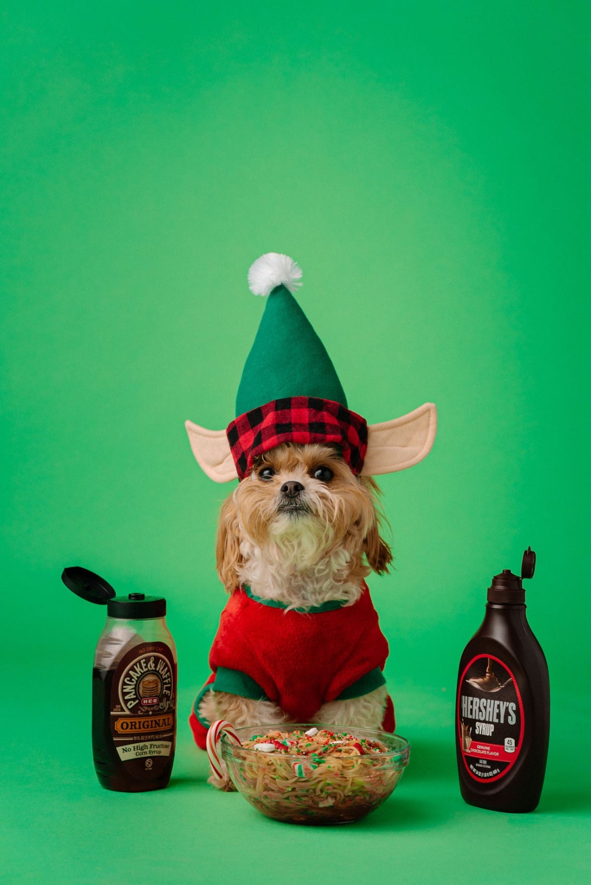 Elf Hat