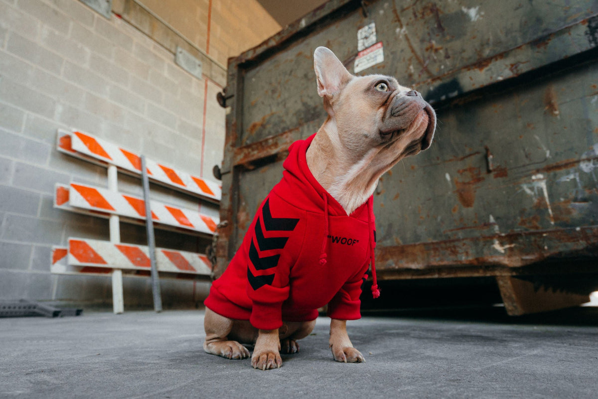 "woof" Shirt