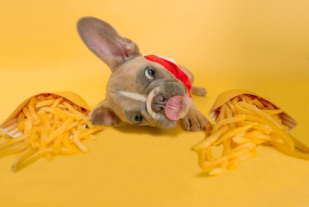 Red and White "French Fry" Shirt