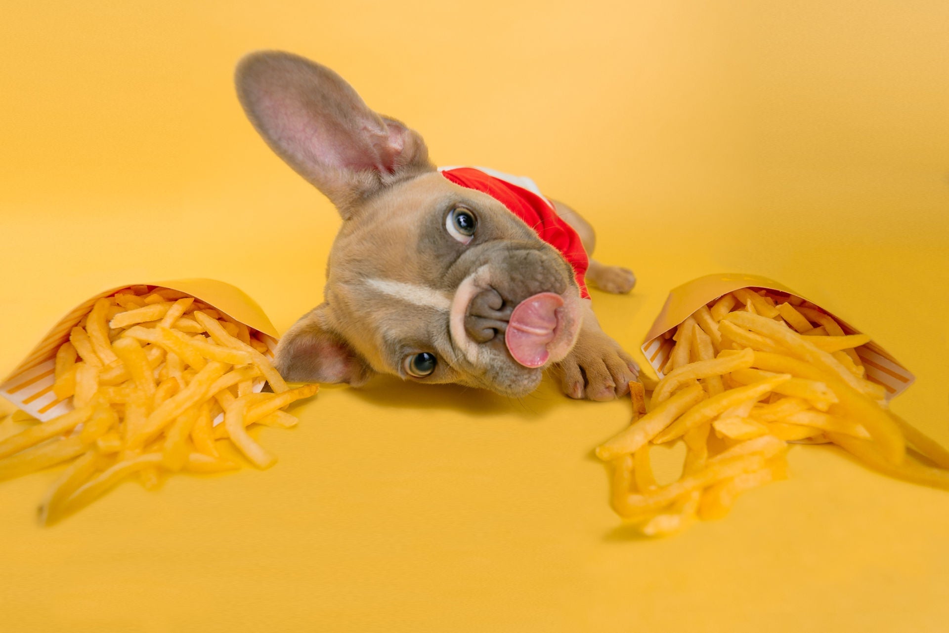Red and White "French Fry" Shirt