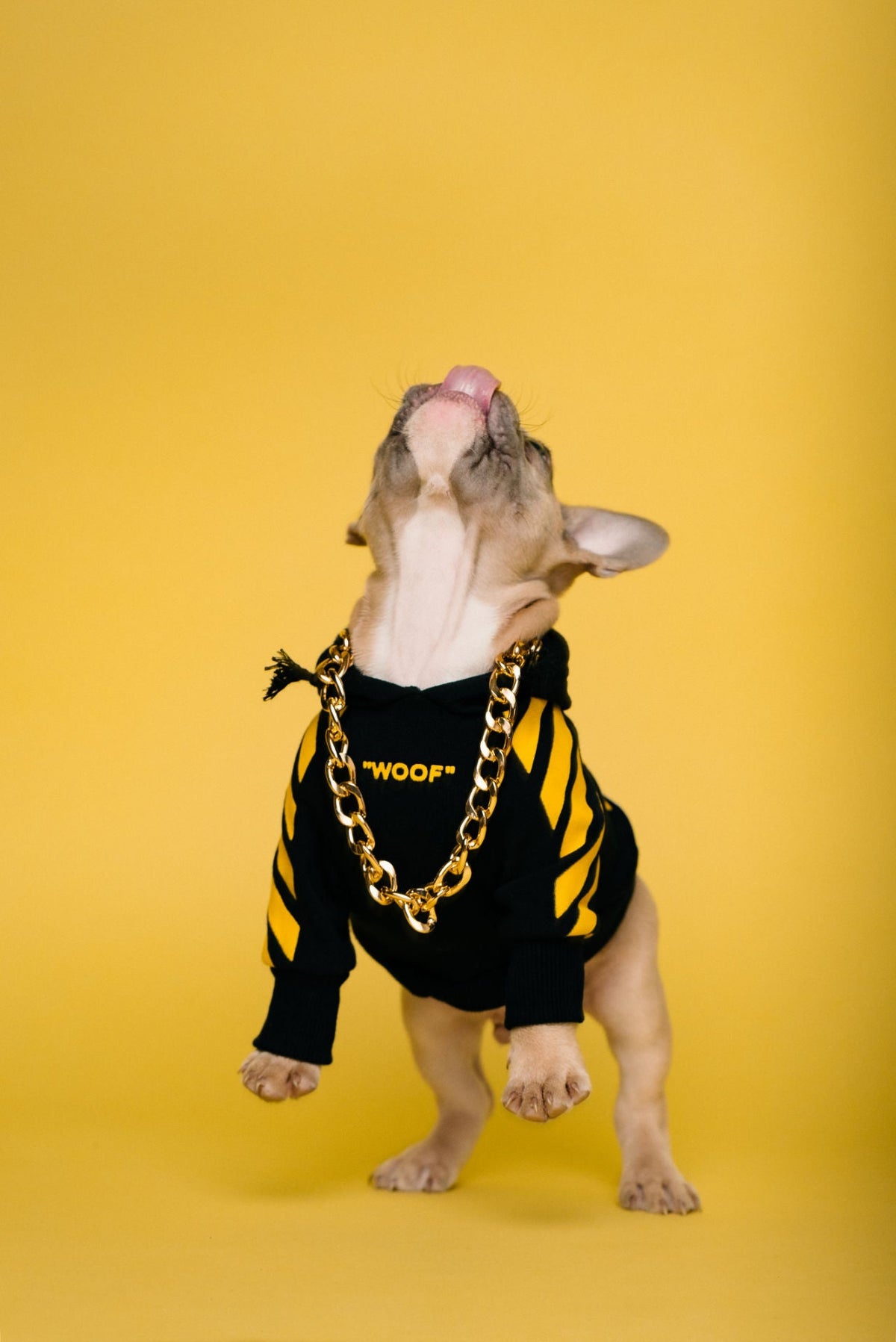 "woof" Shirt