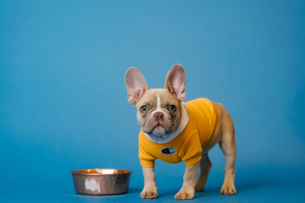 Yellow Champion Hoodie