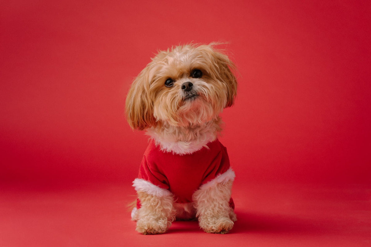 Santas Helper Costume