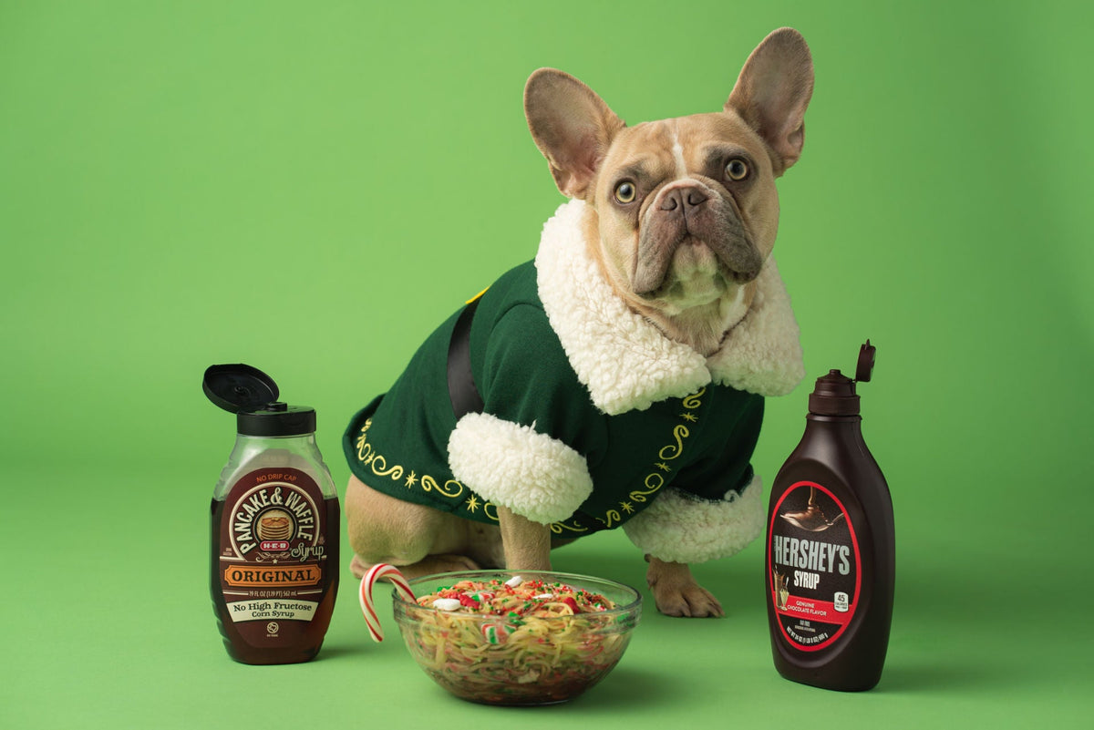 Elf Costume