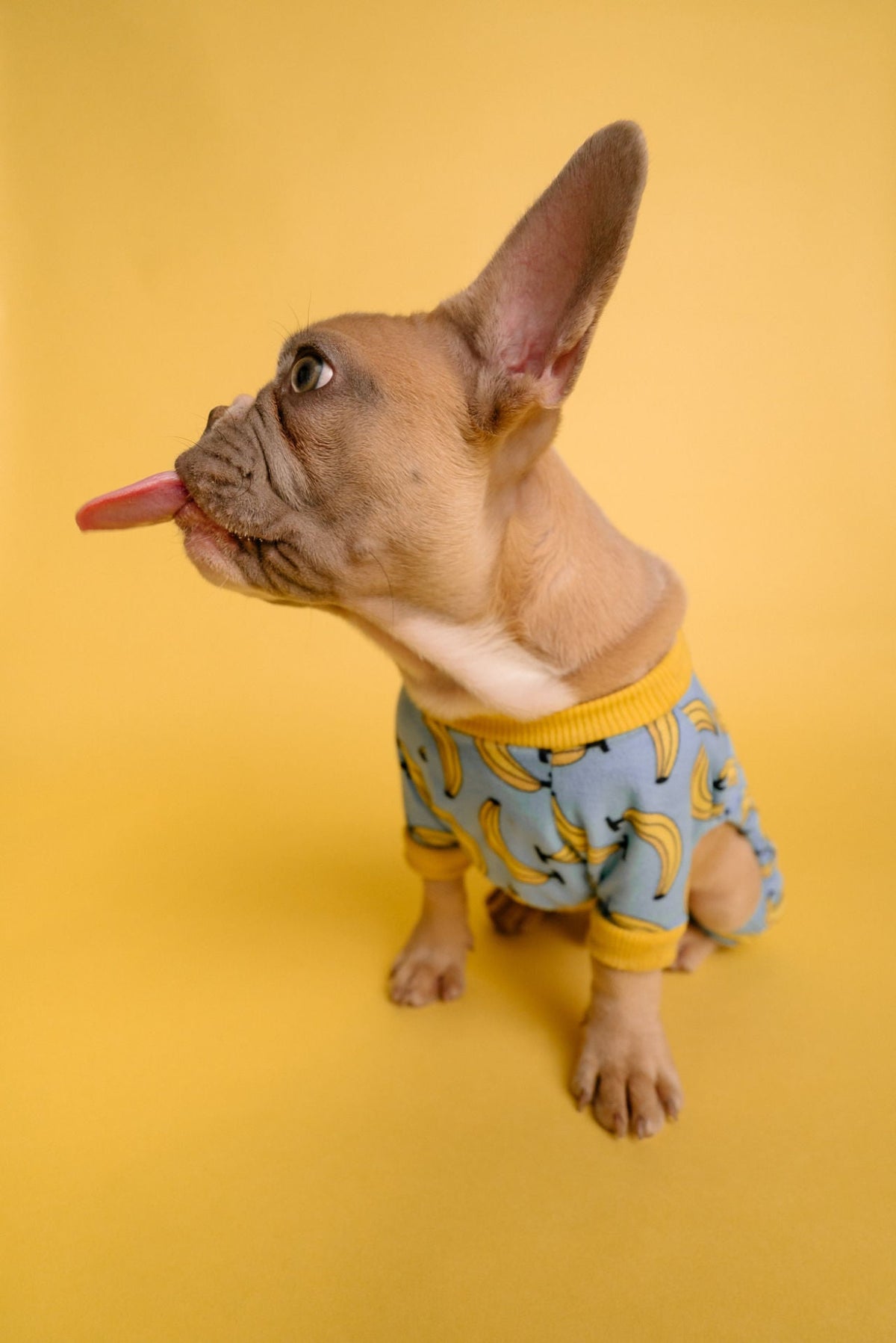 Blue Banana Shirt